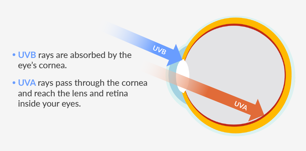 UV Protection Coating for Glasses | SmartBuyGlasses HK