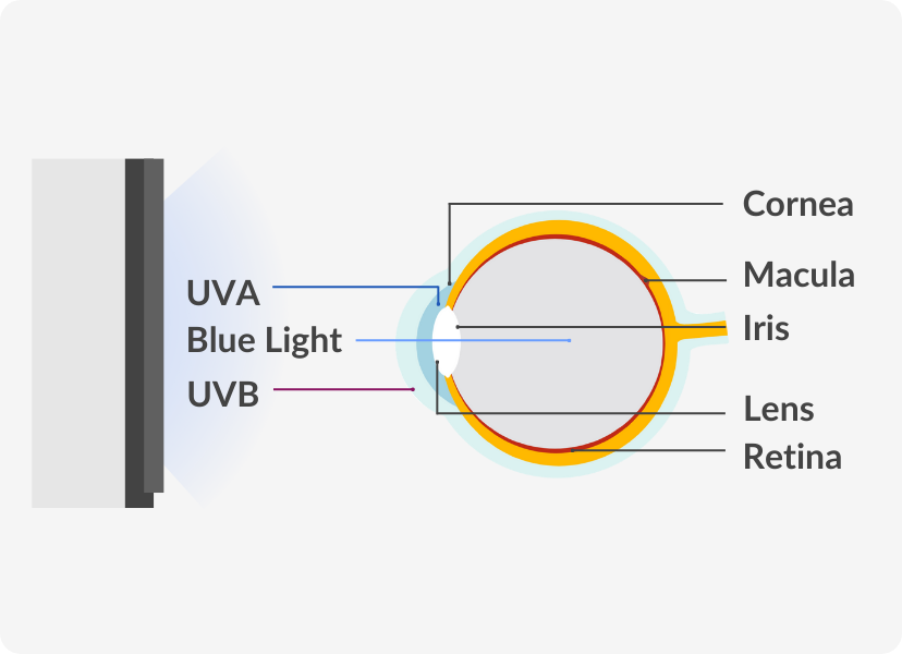 blue light and the eye