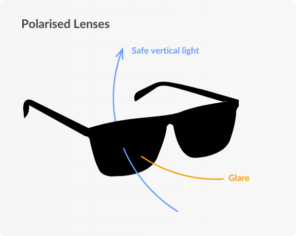 polarised glasses