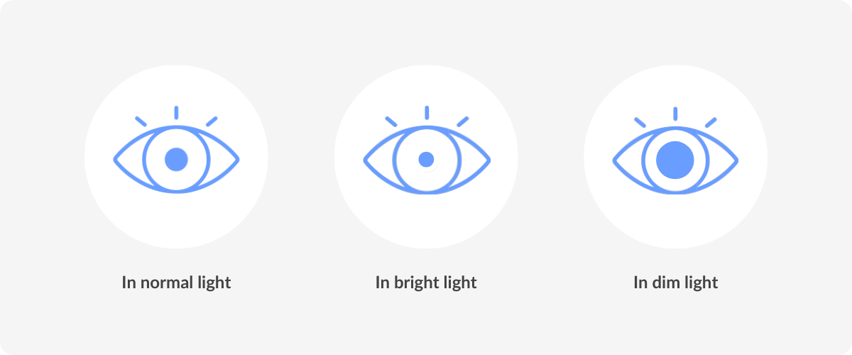 three eye icons with different pupil sizes. The first eye has a small pupil and is labeled "In normal light." The second eye has a medium-sized pupil and is labeled "In bright light." The third eye has a large pupil and is labeled "In dim light."