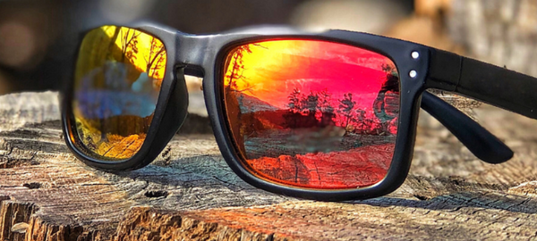 polarized sunglasses