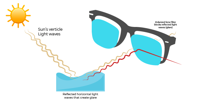 What are Polarised Sunglasses? | SmartBuyGlasses NZ