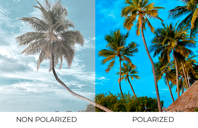 difference polarized and nonpolarized sunglasses