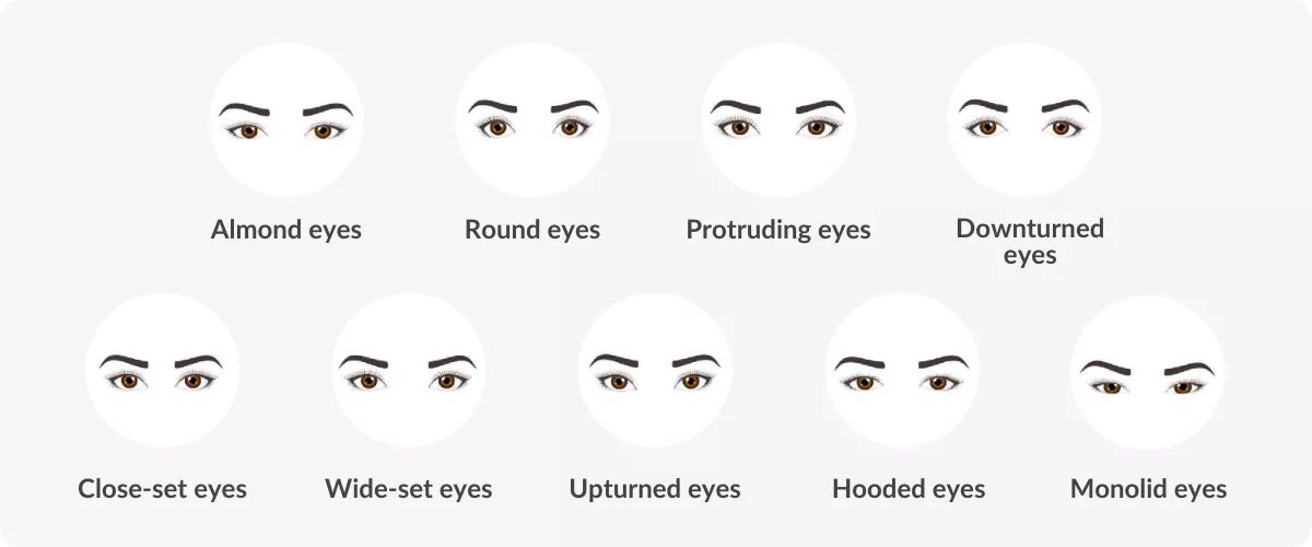 Eye Shapes 1