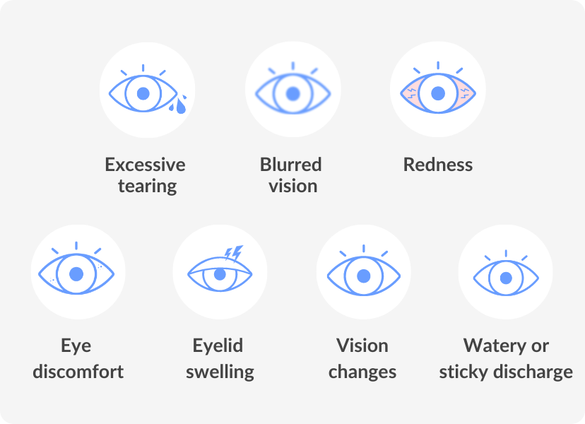 Watery Eyes in the Morning | Causes, Symptoms and Solutions ...