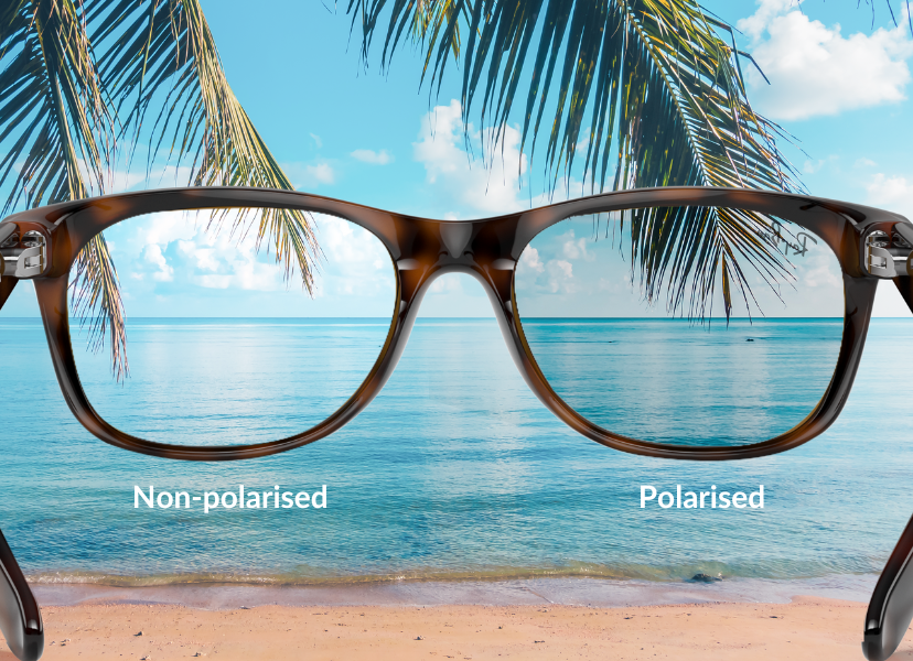 example of polarised lenses