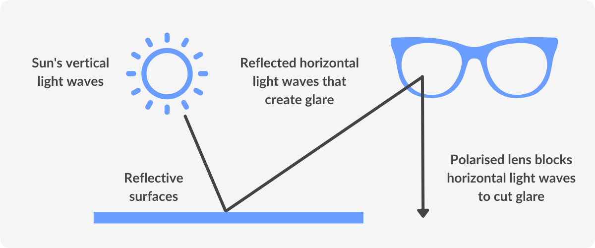 Photochromic vs. Polarised Lenses SmartBuyGlasses UK