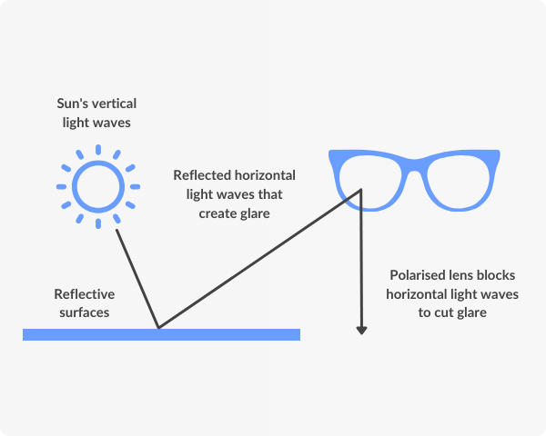how polarised glasses work