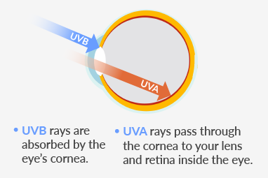 UV Protection Coating For Glasses | SmartBuyGlasses ZA