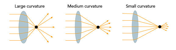Lens curvature sizes