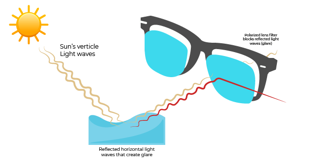 do polarized lenses block blue light