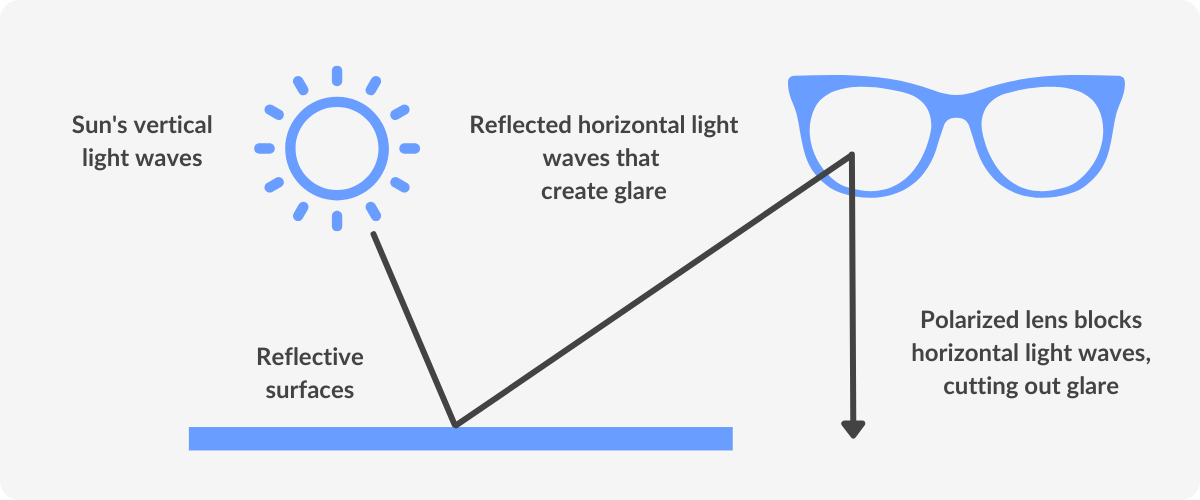 how polarized lenses work