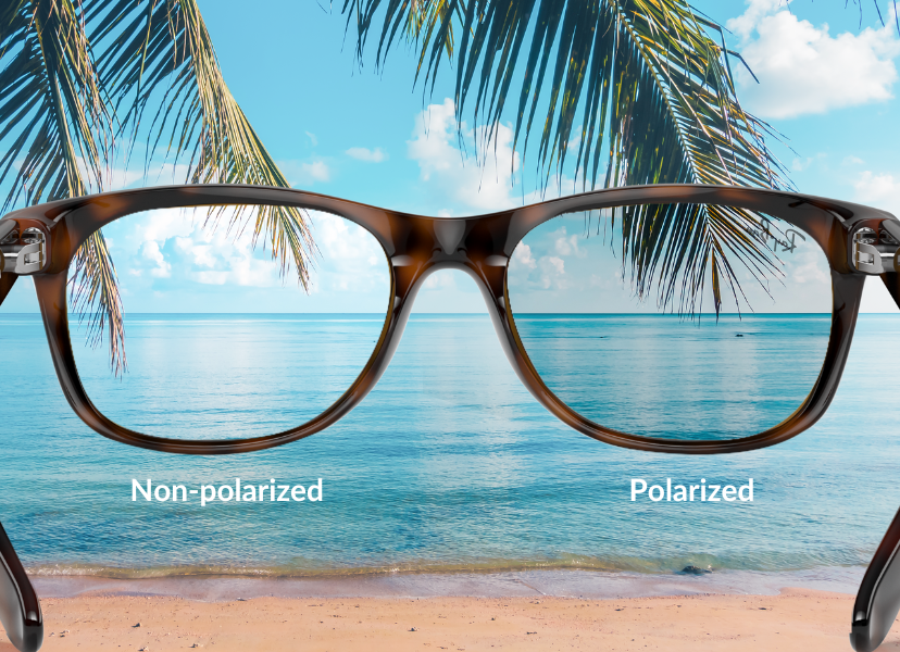 polarized Ray-Ban lenses