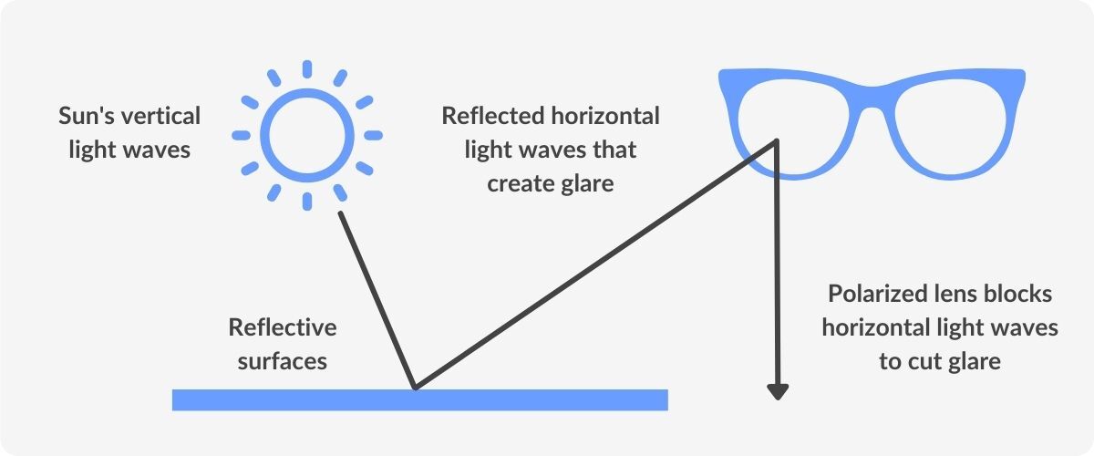 how polarized lenses work