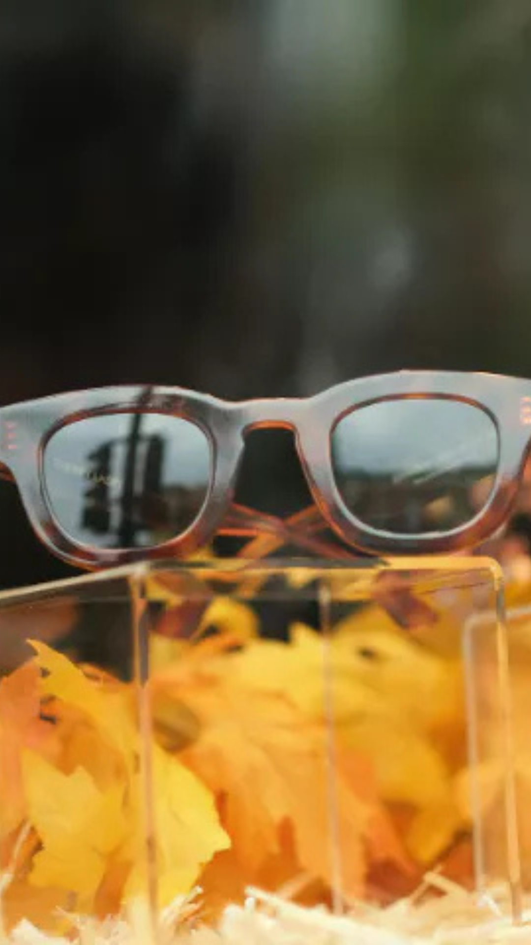 Snuggle Up in Style: Your Cozy Season Guide | SmartBuyGlasses US