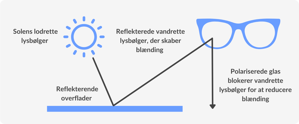 infographic showing how polarized lenses work