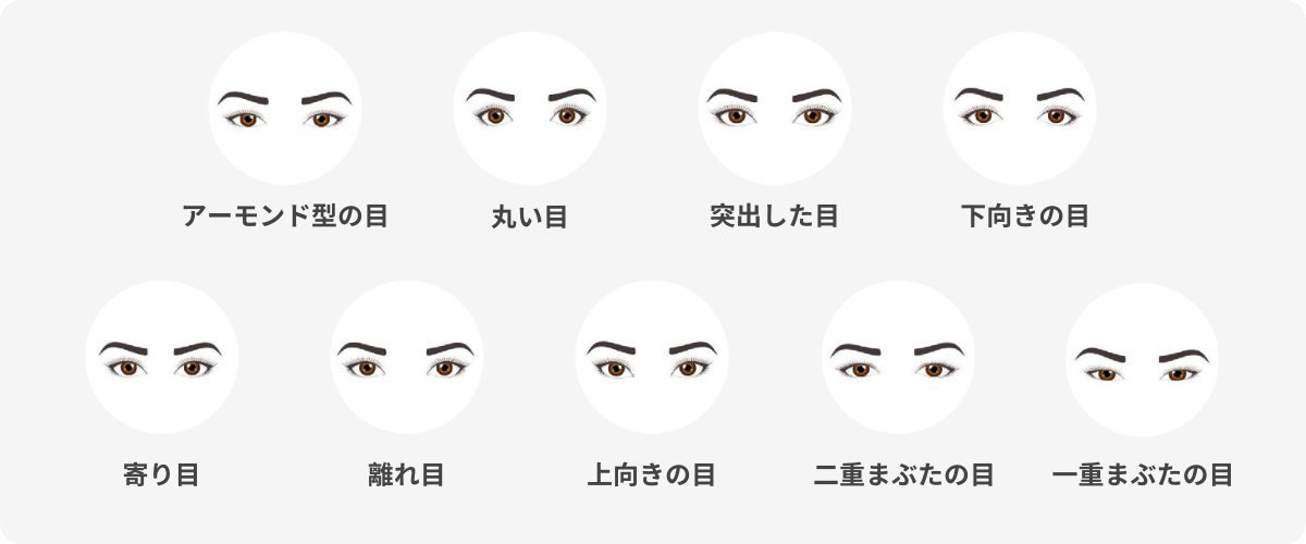 目の形 | SmartBuyGlasses JP
