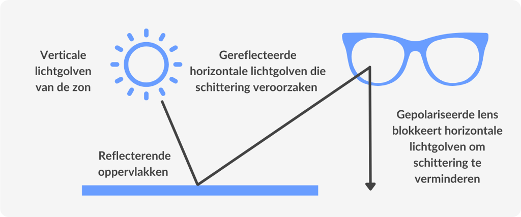 infographic showing how polarized lenses work