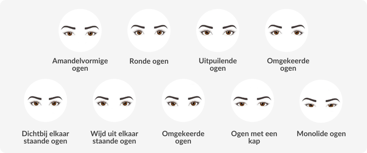 Eye Shapes 1