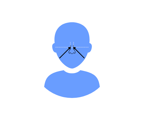 icon of a head with arrows pointing at the bridgr width