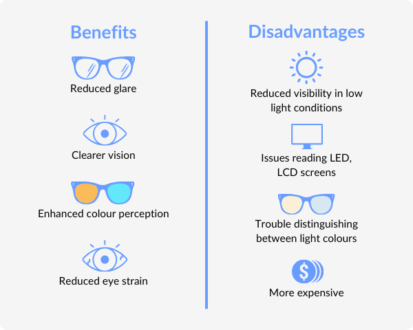 infographic with advantages and disadvantages of polarised sunglasses