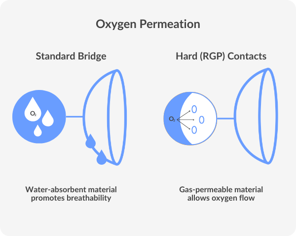 Contact lens diagram